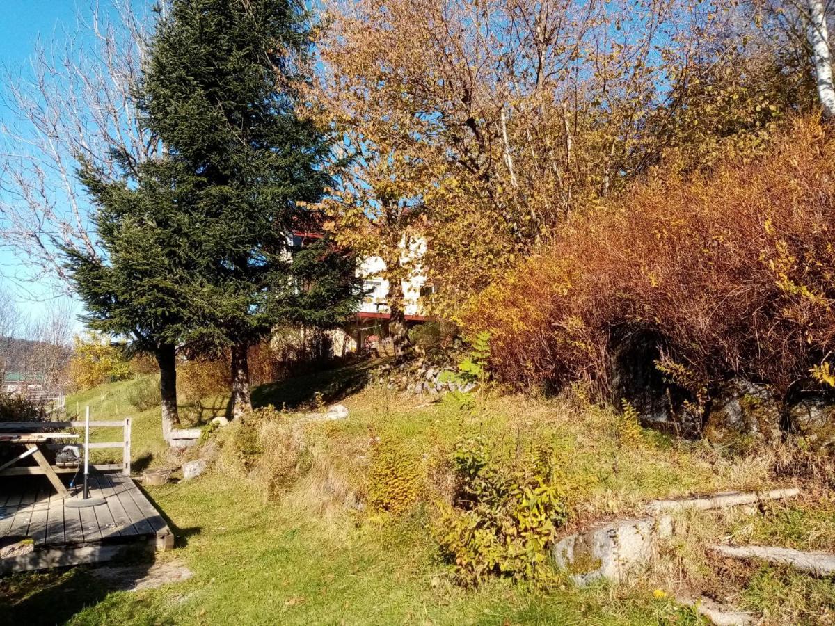 Au Grenier Du Lac جوراردُميه المظهر الخارجي الصورة