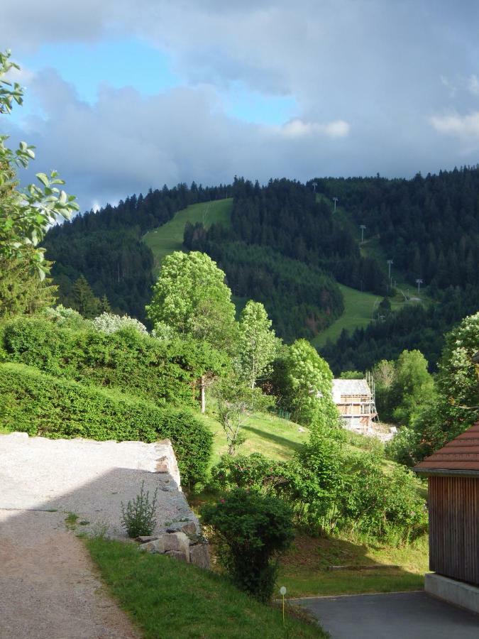 Au Grenier Du Lac جوراردُميه المظهر الخارجي الصورة