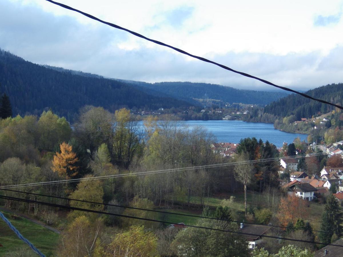 Au Grenier Du Lac جوراردُميه المظهر الخارجي الصورة